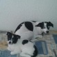 madre e hija